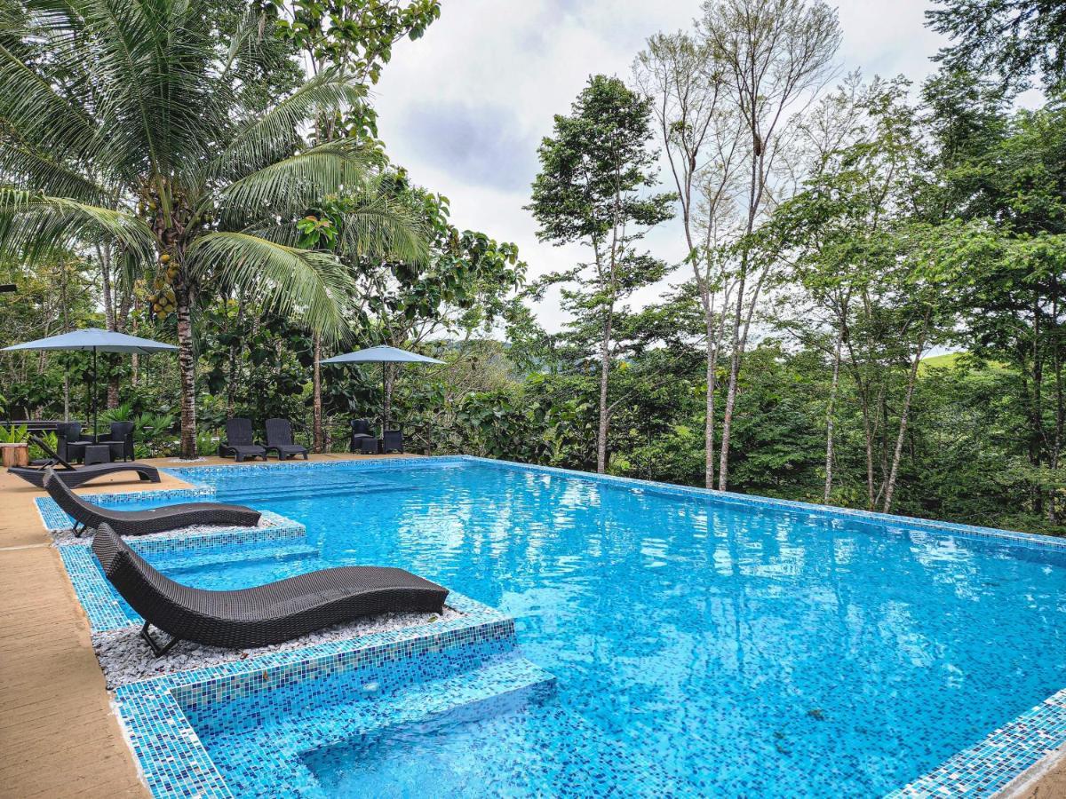 Hotel Madeira Boutique Doradal Dış mekan fotoğraf
