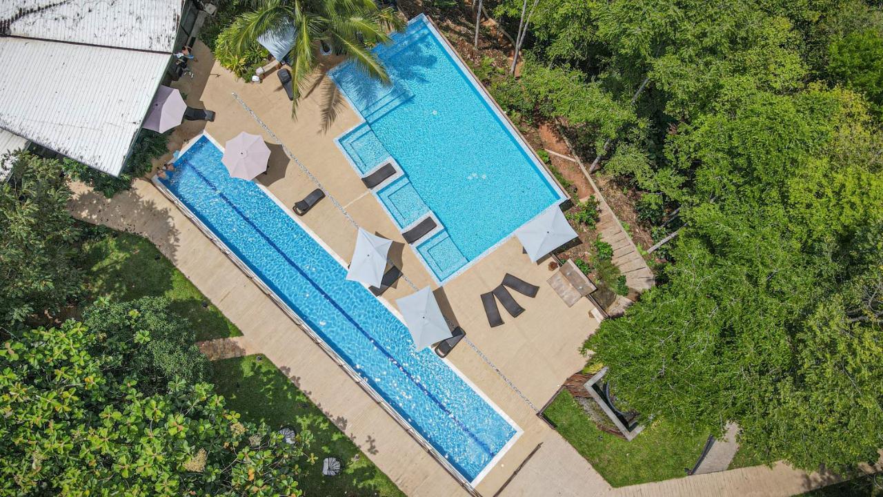 Hotel Madeira Boutique Doradal Dış mekan fotoğraf